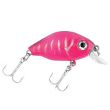 Vobler Baracuda Ruddy 58 mm, 8.3 g, floating