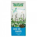 MENTA 50GR, Plafar