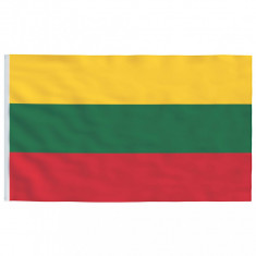 Steag Lituania, 90 x 150 cm foto