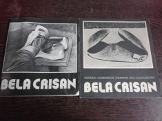 2 CATALOAGE EXPOZITIE , BELA CRISAN foto