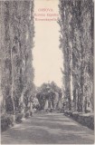 CP Orsova KORONA KAPOLNA ND(1915)
