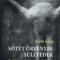 Sötét örvénybe süllyedek - Naplófeljegyzések és visszaemlékezések 1914-1919 - Csáth Géza