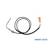 Senzor temperatura gaze dpf Volkswagen Transporter T5 (2003-2015) #1