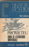 ION ACSAN - PROMETEU EROU AL LITERATURII UNIVERSALE