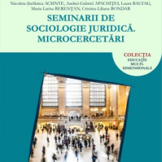 Seminarii de sociologie juridică. Microcercetări - Antonio SANDU (coord.)