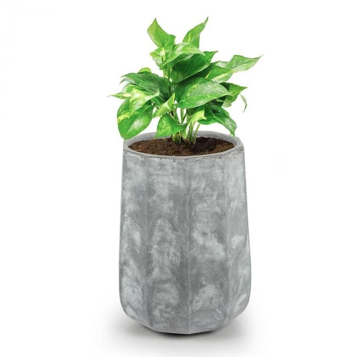 Blumfeldt Decaflor Ghiveci De Flori Fibră De Sticlă Interior și