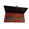 Trusa profesionala 41 piese, Biti torx, Hex, Spline, Material Cr-V