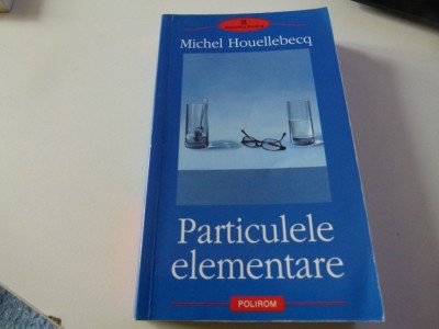 Particulele elementare - Michel Houllebecq foto