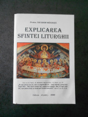 NICODIM MANDITA - EXPLICAREA SFINTEI LITURGHII (2002) foto