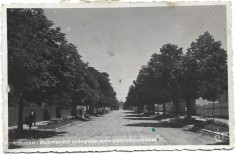 CP747N Buzău, Bulevardul cr&amp;acirc;ngului spre palatul comunal, carte poștală foto