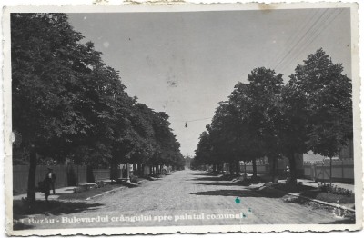 CP747N Buzău, Bulevardul cr&amp;acirc;ngului spre palatul comunal, carte poștală foto