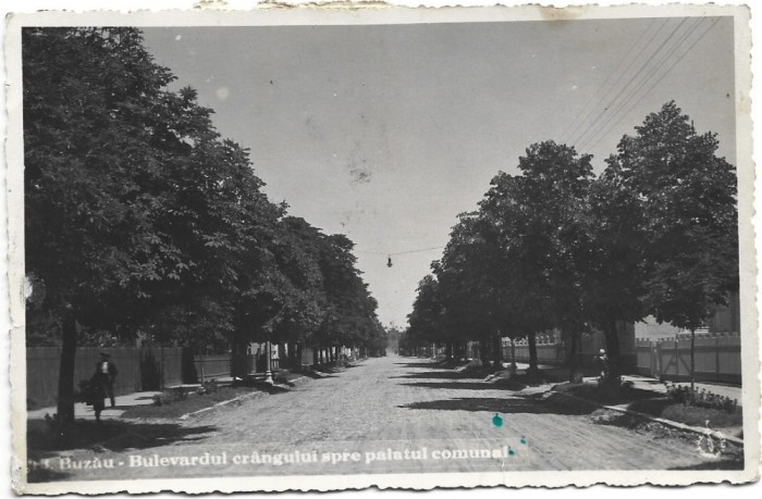 CP747N Buzău, Bulevardul cr&acirc;ngului spre palatul comunal, carte poștală