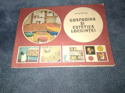 DRAGA NEAGU - GOSPODINA SI ESTETICA LOCUINTEI foto