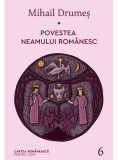 Povestea neamului romanesc (vol. 6) - Art