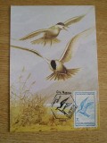 C12 - maxima Romania - tematica pasari 32 - prima zi a emisiunii sau expozitii, Romania de la 1950, Fauna