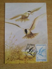 C12 - maxima Romania - tematica pasari 32 - prima zi a emisiunii sau expozitii