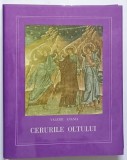 CERURILE OLTULUI . SCOLILE ARHIMANDRITULUI BARTOLOMEU IN IMAGINILE FOTOGRAFICE ALE LUI DUMITRU F. DUMITRU de VALERIU ANANIA , 1990 * LIPSA SUPRACOPERT