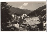 CPIB 15719 CARTE POSTALA - SINAIA, VEDERE, RPR, Circulata, Fotografie