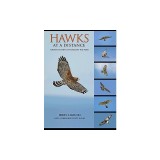 Hawks at a Distance: Identification of Migrant Raptors