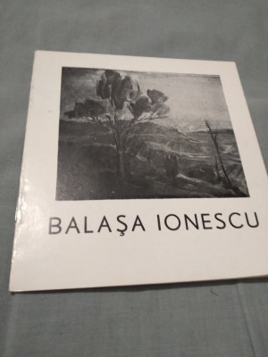 PLIANT BALASA IONESCU GALERIA CAMINUL ARTEI 1983 foto