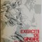 Exercitii de gandire rugbystica &ndash; Dumitru Manoileanu