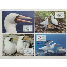 St. Vincent 1995 - sule de mare mascata, serie CarteMaxima