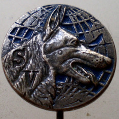 I.076 INSIGNA STICKPIN S/V SHÄFERHUNDE VEREIN ASOCIATIA CHINOLOGICA CAINE 16mm