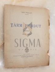 Tarm pierdut foto