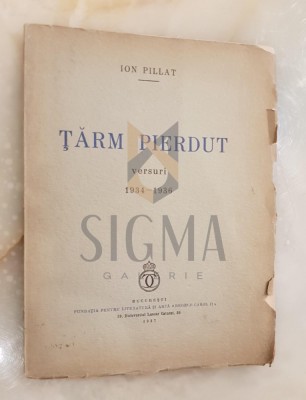 Tarm pierdut foto