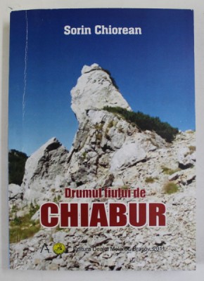 DRUMUL FIULUI DE CHIABUR de SORIN CHIOREAN , 2011 foto