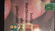 Bolile bacteriene ale plantelor,v severing / 0239