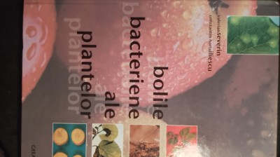 Bolile bacteriene ale plantelor,v severing / 0239 foto