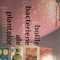 Bolile bacteriene ale plantelor,v severing / 0239