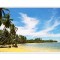 Sticker decorativ, fereastra deschi saspre mare 90 cm, 62STK