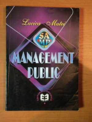 MANAGEMENT PUBLIC de LUCICA MATEI , 2001 foto