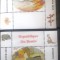 Benin 2009 ursuletul Winnie Pooh , desene animate 2v Blocuri .mnh