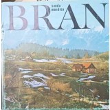 BRAN-SANDU MENDREA-256756