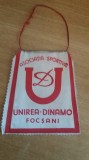D9 11 - fanion - sport - cluburi sportive - Asociatia sportiva - Unirea Dinamo Focsani