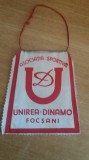 M3 C7 - Tematica cluburi sportive - Asociatia sportiva - Unirea Dinamo Focasni