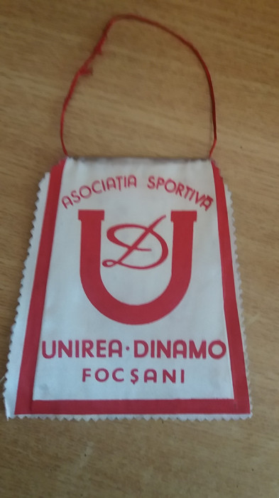 M3 C7 - Tematica cluburi sportive - Asociatia sportiva - Unirea Dinamo Focasni