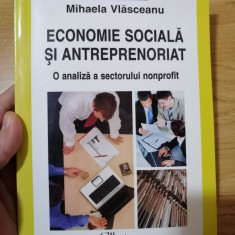 Economie sociala si antreprenoriat. O analiza a sectorului nonprofit - Vlasceanu