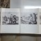 H. Catargi, Pliant, 7 ilustrații alb-negru