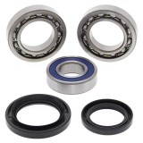 Kit rulment roata Spate (cu etansanti) pentru YAMAHA YFM 350 2000-2005