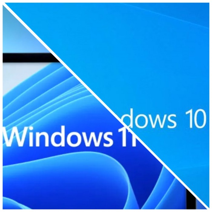 Windows 10/11