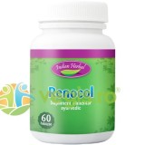 Renocol 60tb