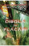 Expanse Vol. 4 Cibola in flacari - Grupul Art