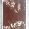 QW23 B - Carte postala - tematica turism - vedere - Romania - Baile Herculane 48