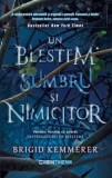 Cumpara ieftin Un blestem sumbru si nimicitor. Primul volum al seriei Distrugatorii de blesteme/Brigid Kemmerer