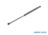 Amortizor haion Hyundai Santa Fe (2000-2006)[SM] #1