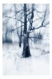 Tablou Canvas Peisaj Iarnă Copaci Abstract Modern pentru Decor, 26 x 39 cm, CMCLASS